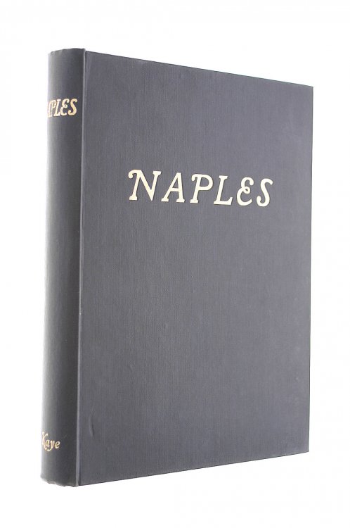 Naples and its surroundings (Beaux pays series)