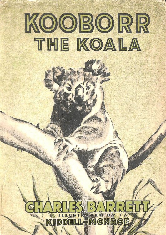 Kooborr The Koala