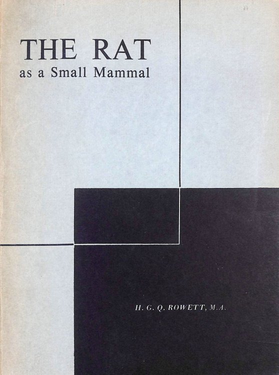 The Rat As A Small Mammal