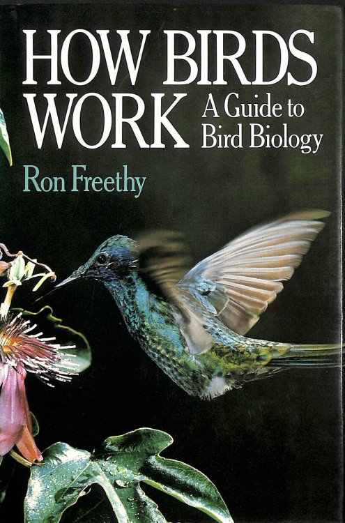 How Birds Work: Guide to Bird Biology