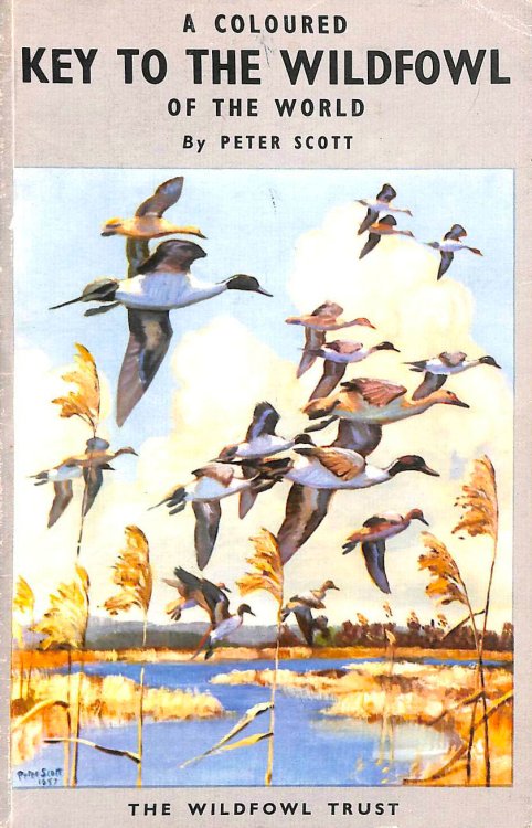 A Coloured Key To The Wildfowl Of The World