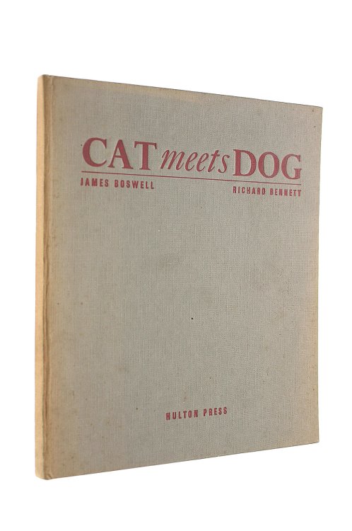 Cat Meets Dog