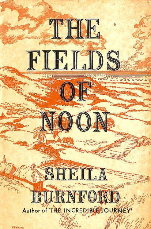 The Fields of Noon