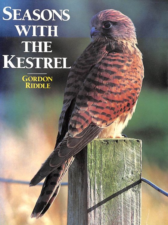 Seasons with the Kestrel