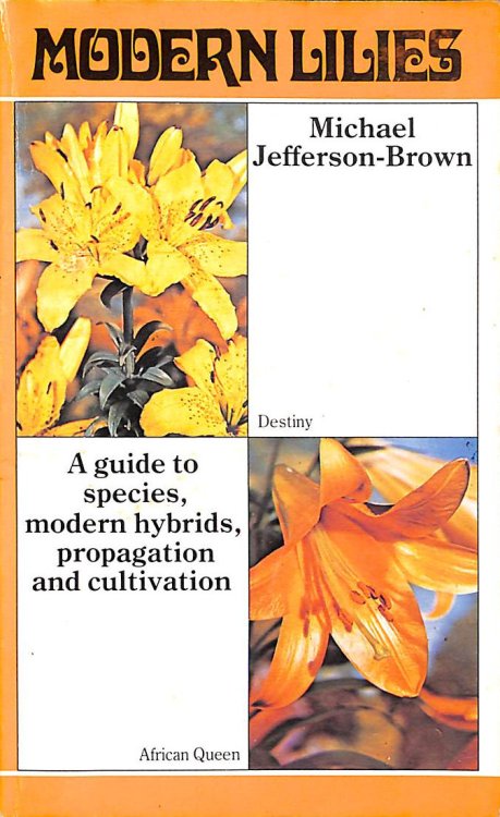 Image for Modern Lilies Modern Lilies