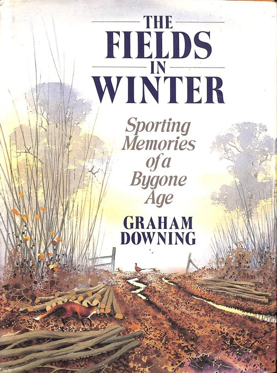 The Fields in Winter: