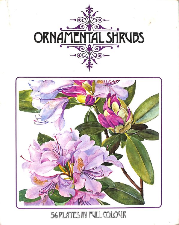 Ornamental Shrubs