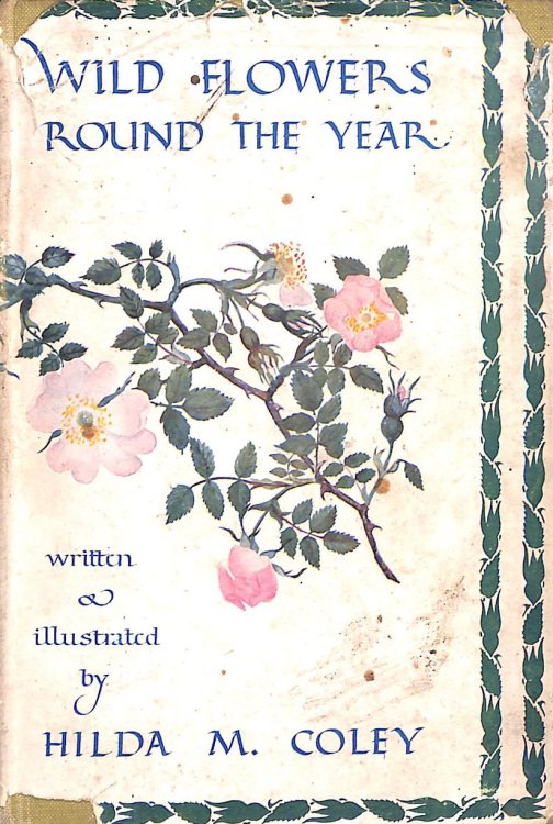 Wild Flowers Round The Year