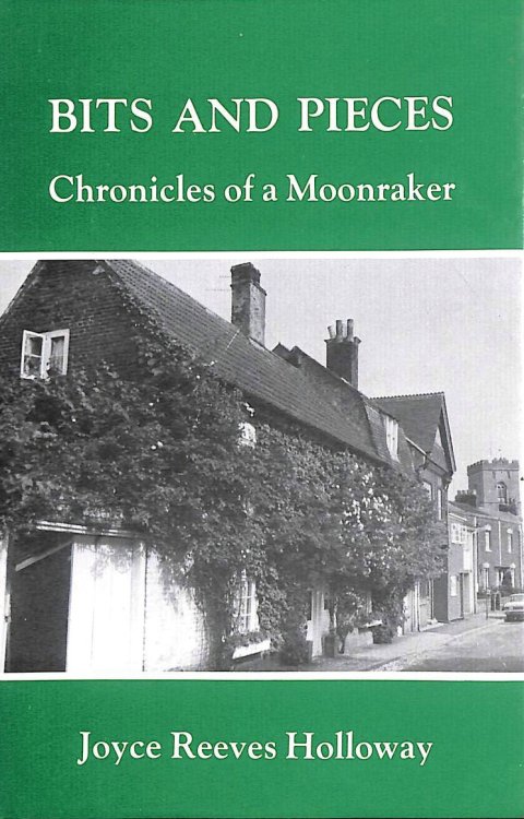 Bits and Pieces: Chronicles of a Moonraker