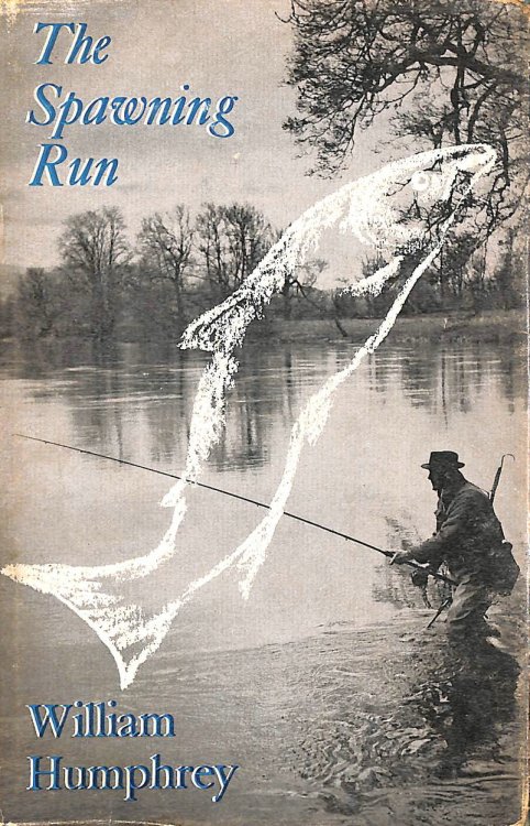 Image for The Spawning Run The Spawning Run