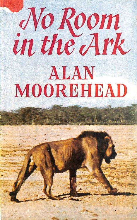 No Room In The Ark