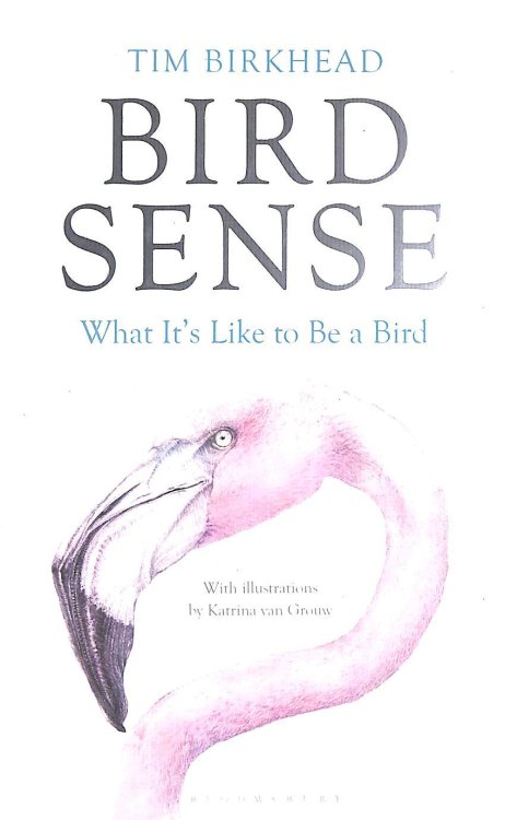 Bird Sense: What It's Like to Be a Bird