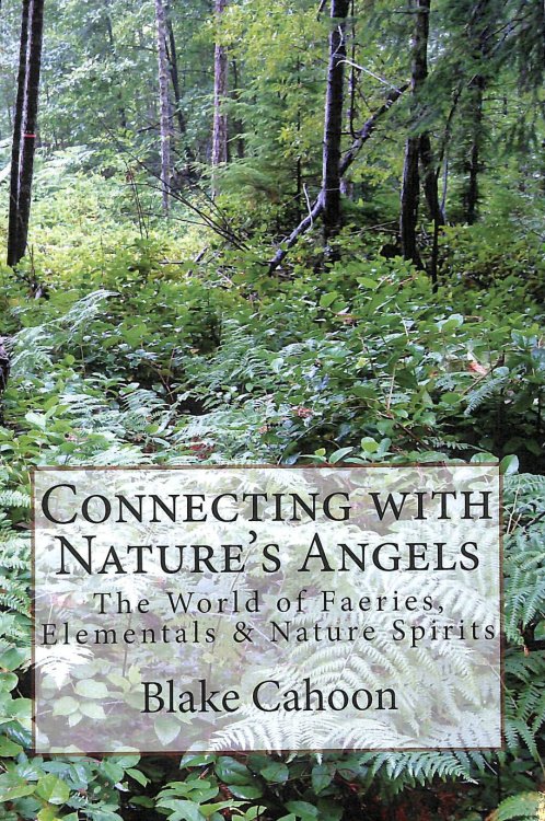Connecting with Nature's Angels: The World of Faeries, Elementals & Nature Spirits