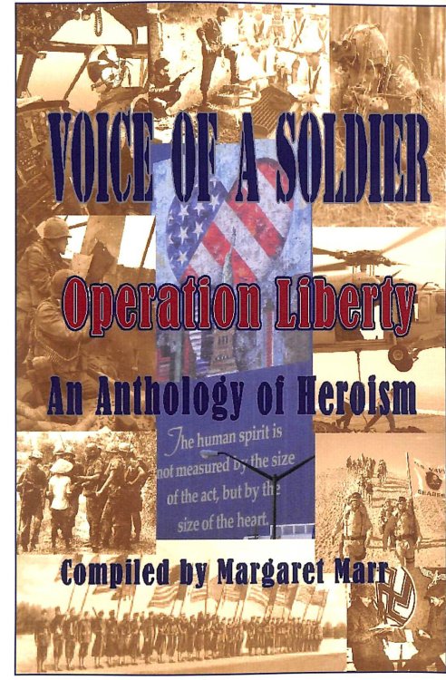 Voice of a Soldier: Operation Liberty