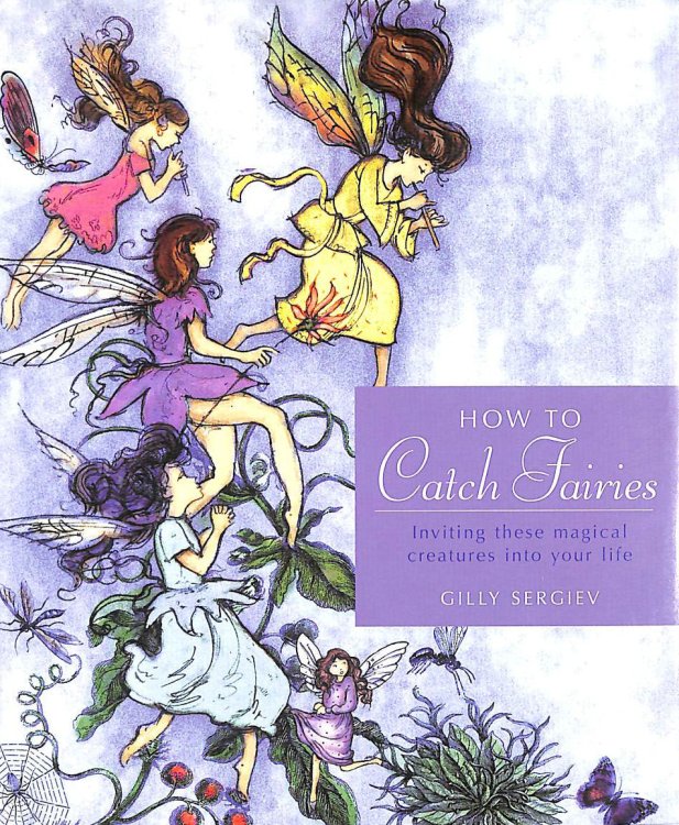 How to Catch Fairies