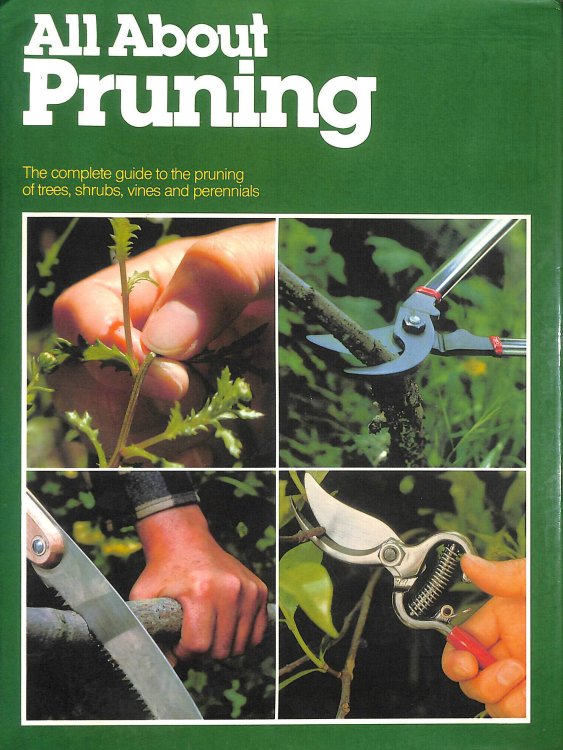 All About Pruning