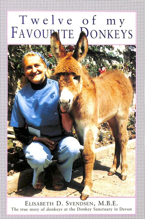 Twelve of my favourite Donkeys