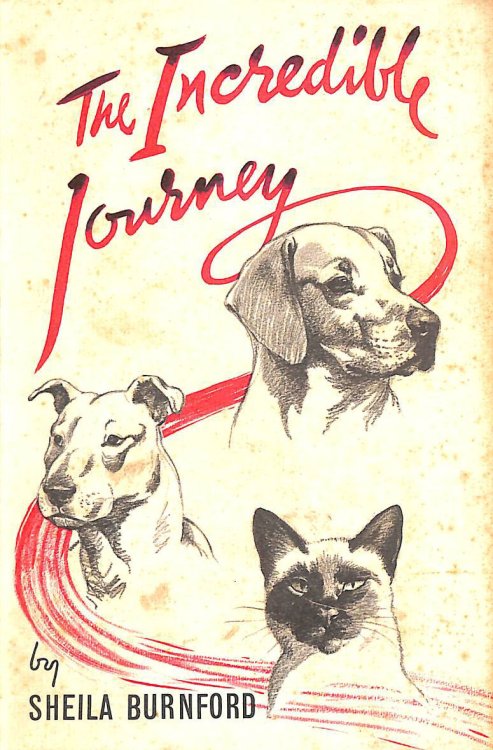 The Incredible Journey.