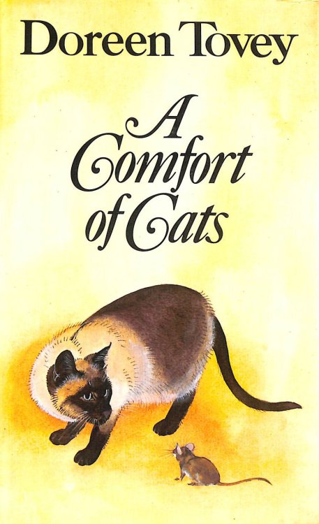 Comfort of Cats