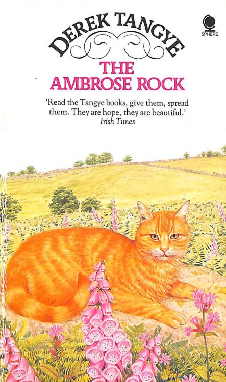 Ambrose Rock