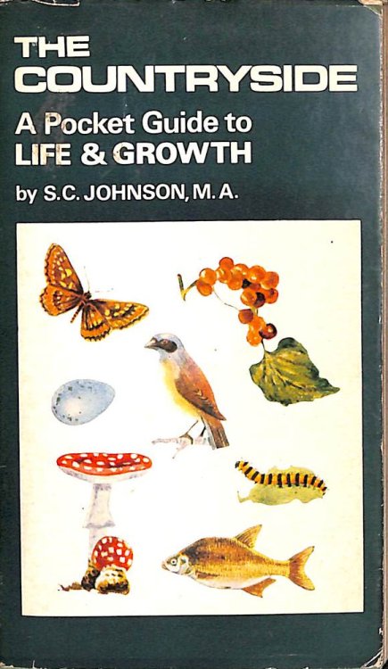 The countryside: A pocket guide to life & growth