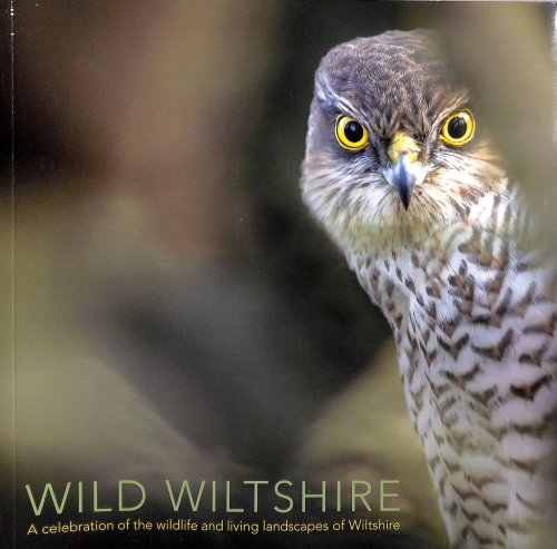 Wild Wiltshire: A Celebration of the Wildlife and Living Landscapes of Wiltshire