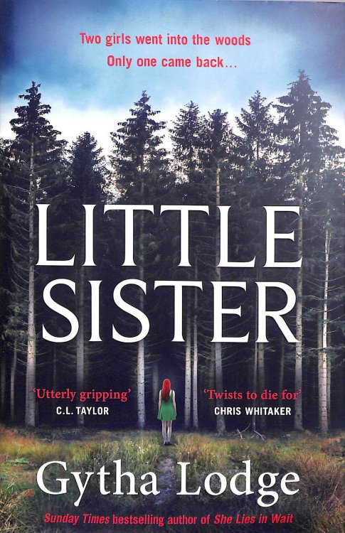 Little Sister: Is she witness, victim or killer First Edition