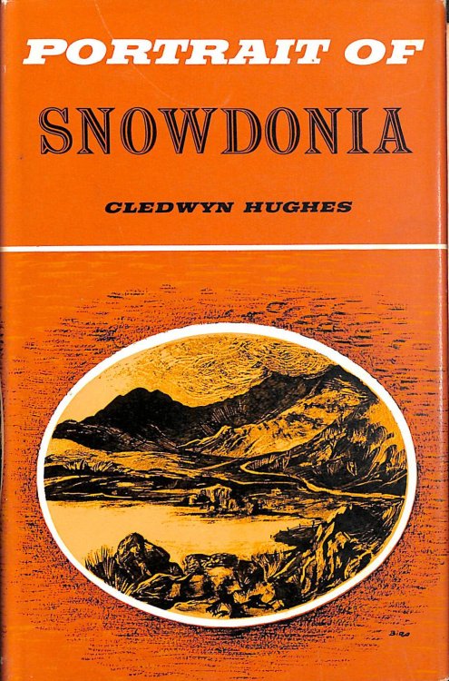 Portrait Of Snowdonia