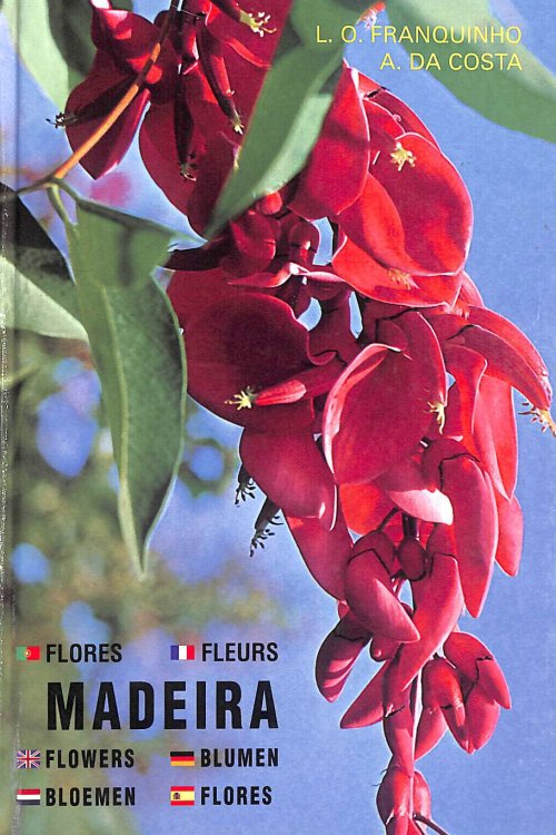 Madeira : Plants and flowers