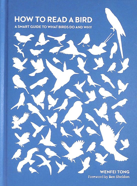 How to Read a Bird: A Smart Guide to What Birds Do and Why: 1 (Smart Animal Guides, 1)