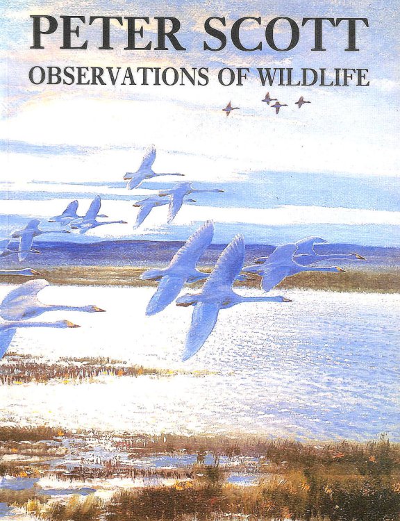 Observations of Wild Life