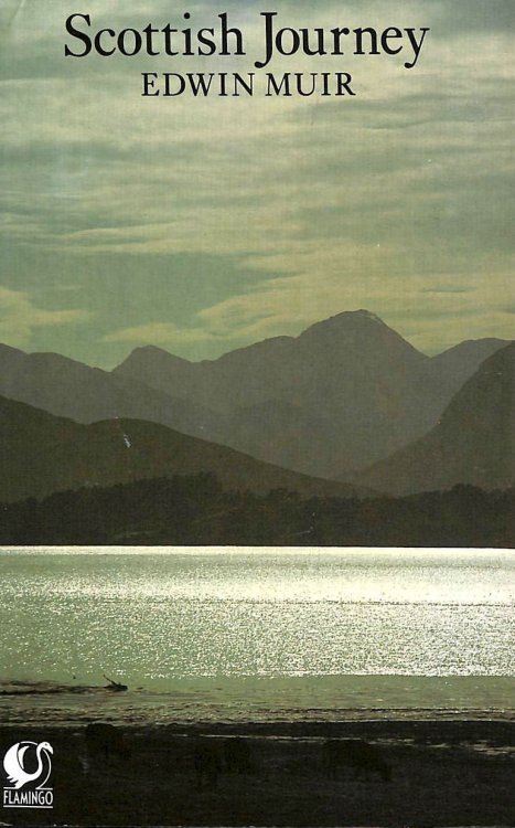 Scottish Journey: A Modern Classic (Flamingo S.)