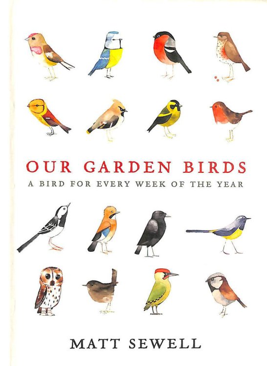 Our Garden Birds