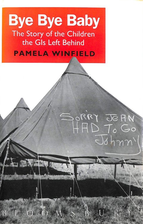 Bye Bye Baby: The Story of the Children the GIs Left Behind