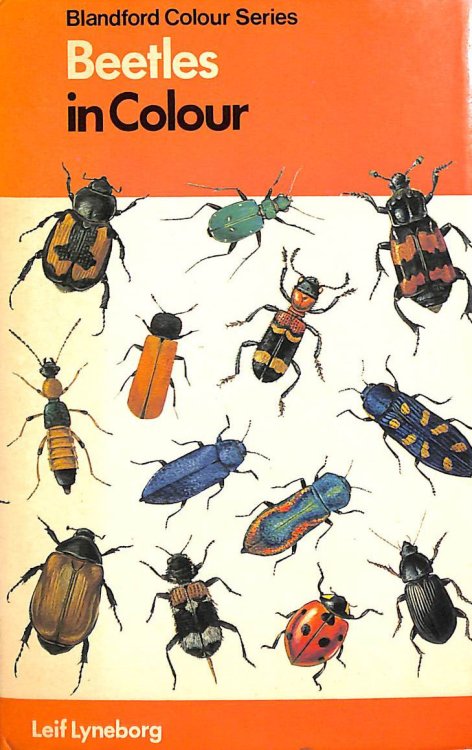 Beetles (Colour S.)