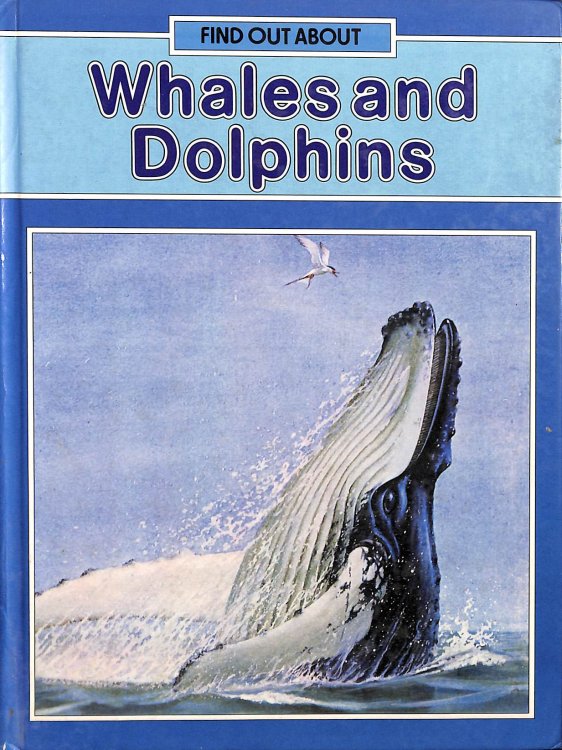 Whales and Dolphins (Find out About)