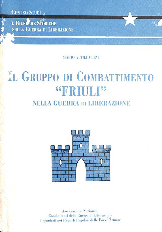 Gruppo di combattimento Friuli