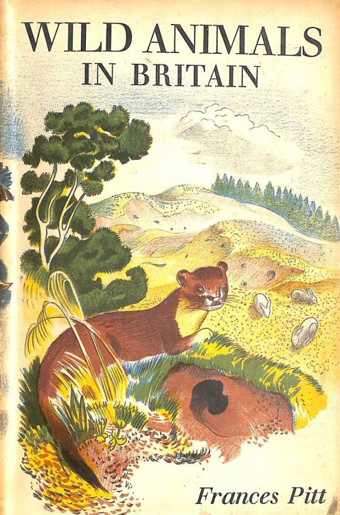 Wild Animals In Britain