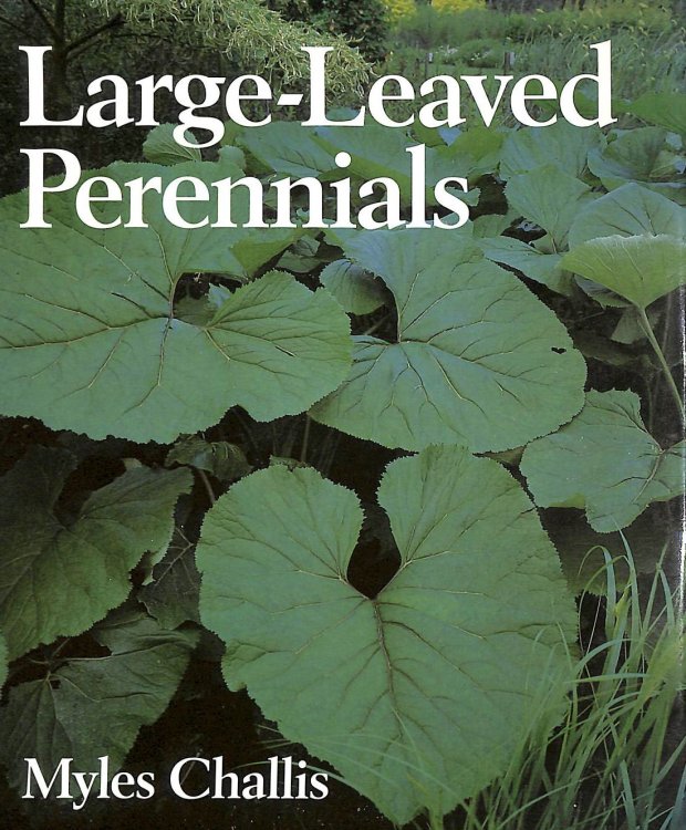 Large-leaved Perennials (Foliage Plants in Garden Design S.)
