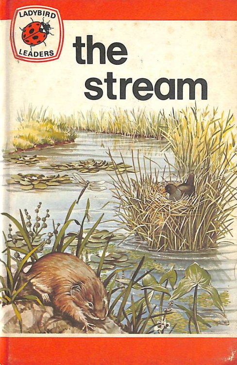 The Stream: 27 (Ladybird leaders)