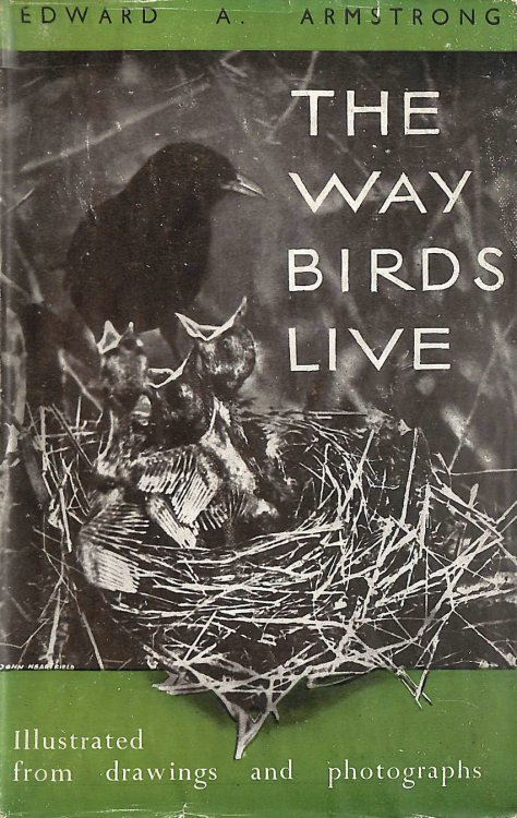The Way Birds Live
