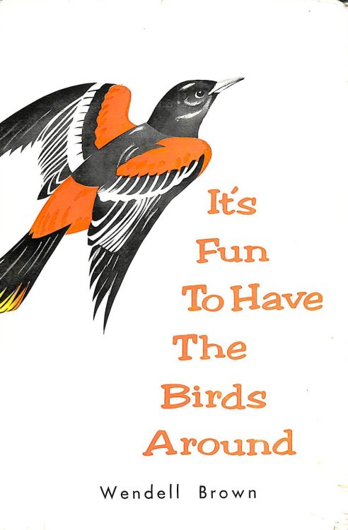 It's Fun to Have the Birds Around