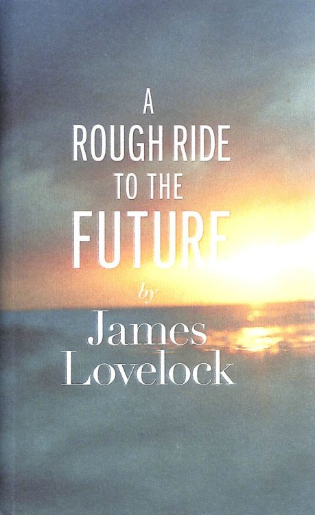 A Rough Ride to the Future