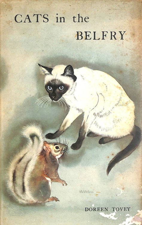 Cats In The Belfry