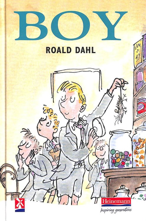 Boy (New Windmills KS3)