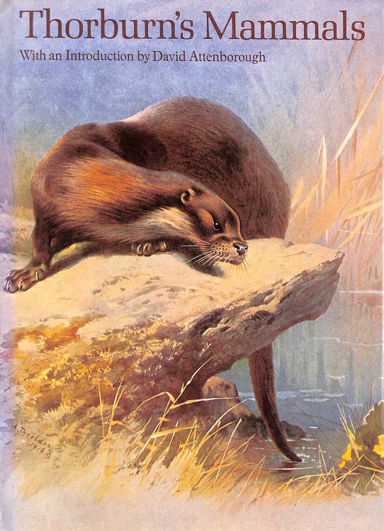 Thorburn's Mammals