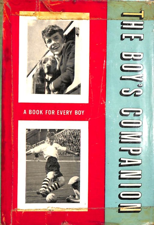 The Boy's Companion