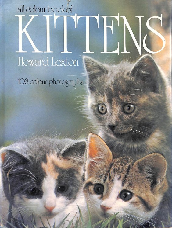 Book of Kittens (All Colour Books)