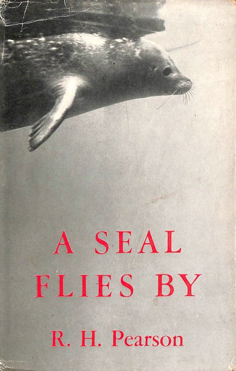 A Seal Flies By