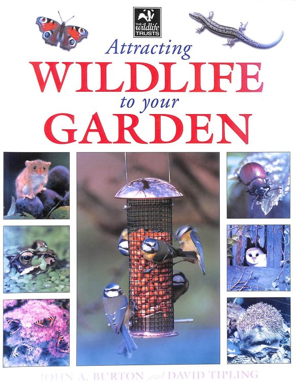 Attracting Wildlife to Your Garden